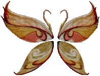 Wings of Magic